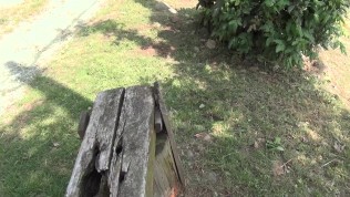 Fette Spermaladung nach Fick am Weinberg Teil 1