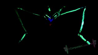 Blacklight Skeleton Masturbation and Cum